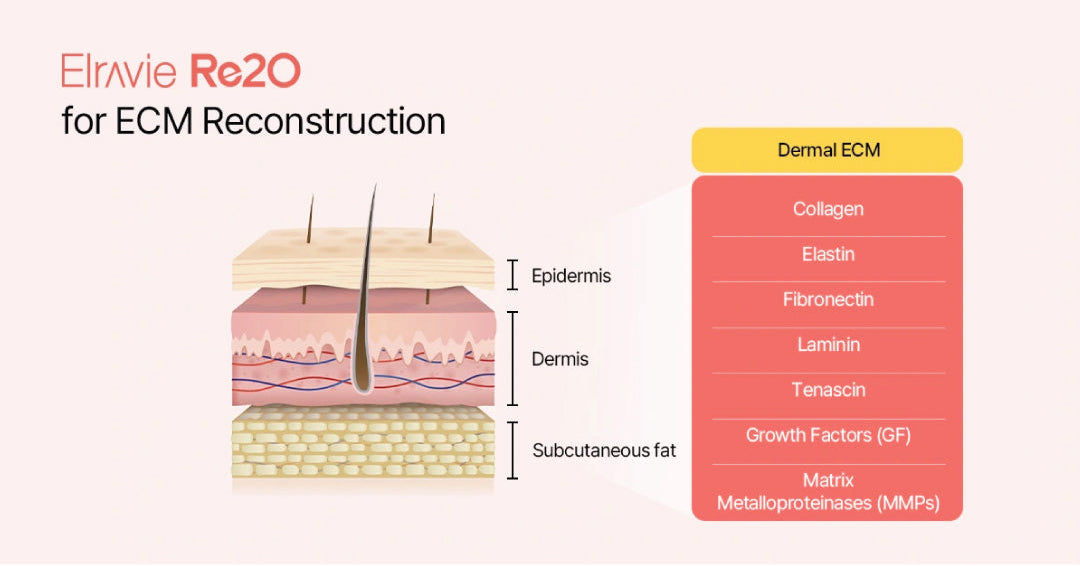 ELRAVIE RE2O (First ECM Skin Booster)