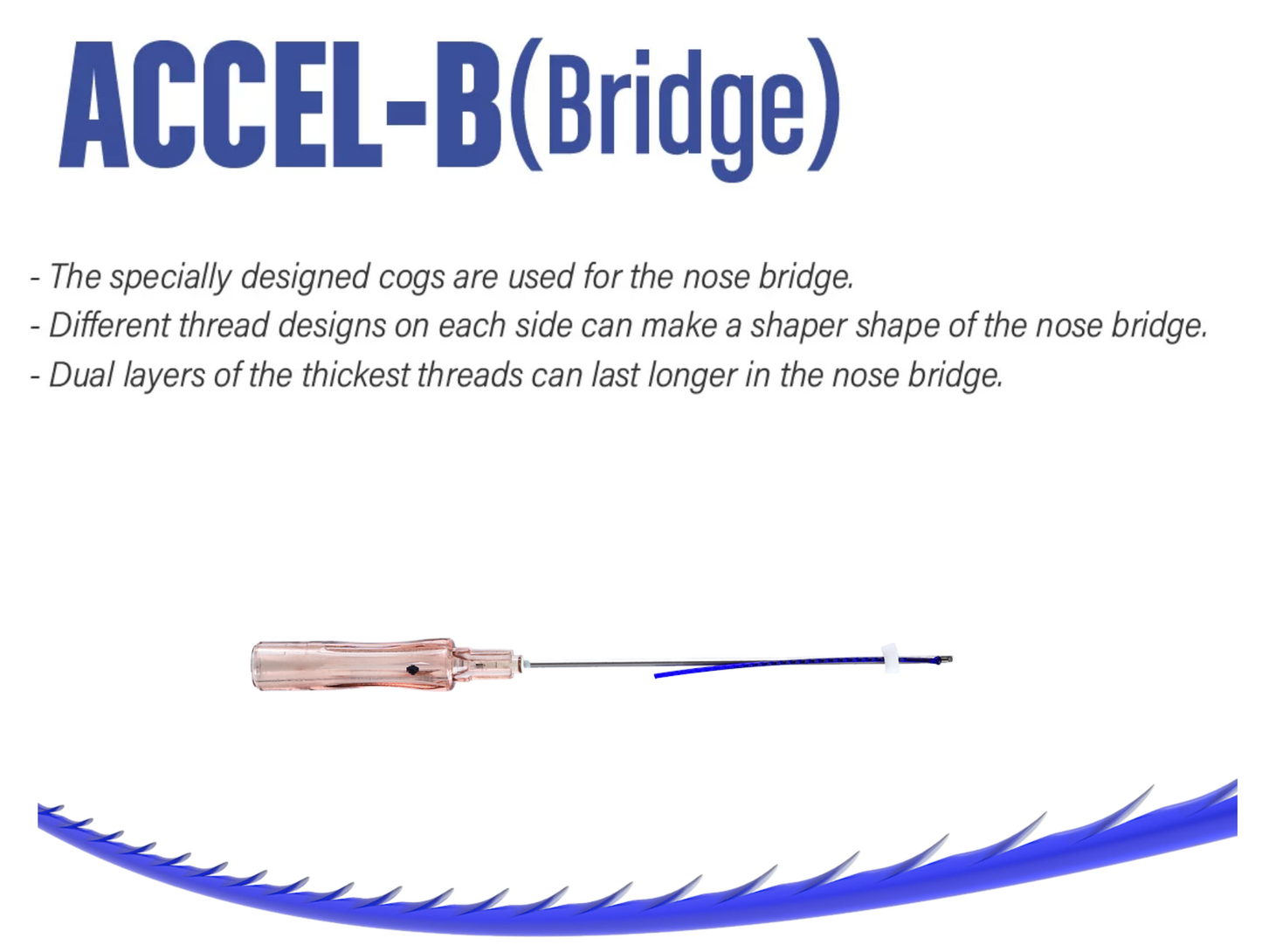 ACCEL-B (Bridge)